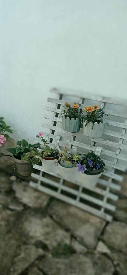Apartment Silvija Vinišće Eksteriør billede